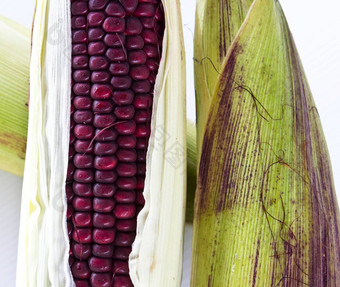 特写镜头紫色的蜡状玉米孤立的白色背景