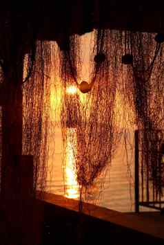 美妙的海日落棕榈树轮廓钓鱼网