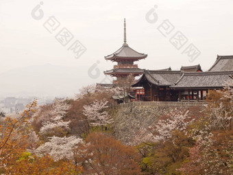 宝塔<strong>清</strong>水寺寺庙日本