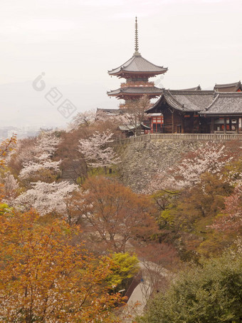 宝塔清水寺寺庙日本