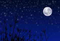 晚上天空星星完整的月亮