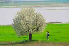 摄影师拍摄春天树