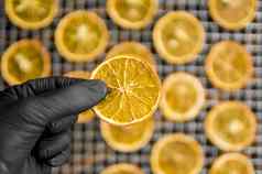 蜜饯橙色片网格干燥干水果装饰餐鸡尾酒健康的素食者食物丰富的维生素微量元素