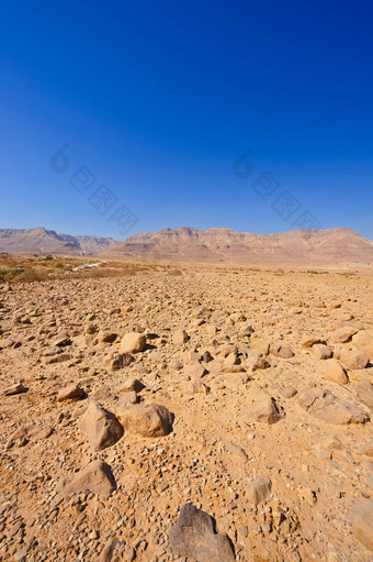 沙漠以色列