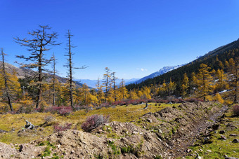 山秋天景<strong>观色</strong>彩斑斓的森林