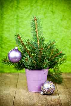 桶圣诞节冷杉树紫色的装饰