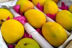 拍摄成熟的黄色的绿色芒果白色纸覆盖粉红色的黄油纸准备好了出售服务