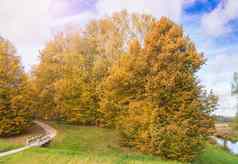 风景如画的农村秋天景观树路木桥