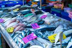新鲜的海鲜计数器鱼市场海洋