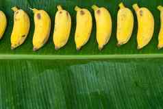 平躺布局黄色的香蕉绿色香蕉叶生态食物