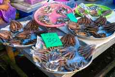 新鲜的海鲜计数器鱼市场海洋