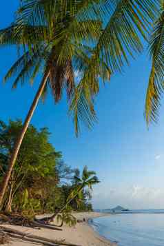 日落天堂热带海滩棕榈树