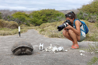 加拉帕戈斯群岛岛屿旅行经验女人旅游野生动物摄影师采取照片乌龟urbina)湾伊莎贝拉岛加拉帕戈斯群岛岛屿厄瓜多尔