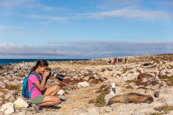 加拉帕戈斯群岛旅游采取图片海狮子北西摩