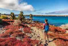 加拉帕戈斯群岛旅游冒险徒步旅行享受景观北西摩