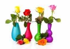 色彩斑斓的玫瑰花瓶