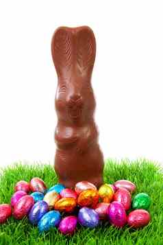 巧克力复活节兔子草
