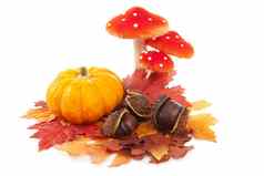 南瓜栗子蘑菇假的秋天叶子