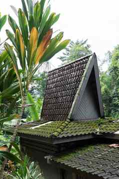 不寻常的体系结构小房子高平铺的屋顶