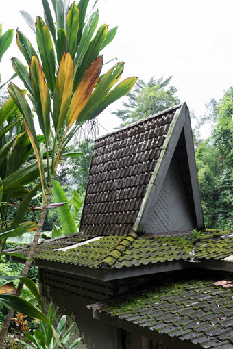 不寻常的体系结构小房子高平铺的屋顶