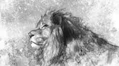 狮子纹身插图艺术手工制作的画