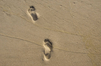 的足迹湿海海滩沙子