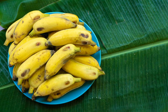 板成熟的黄色的香蕉大黄色的香蕉叶