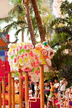 曼谷thailand-january狮子跳舞沙拉酱游行中国人一年庆祝活动1月曼谷