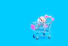 蒙古沙鼠坐在小购物车购买宠物手啮齿动物