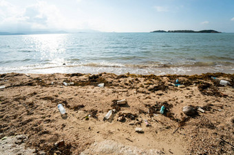 浪费金沙环境污染<strong>垃圾</strong>海滩海滩污染塑料瓶<strong>垃圾</strong>海海滩