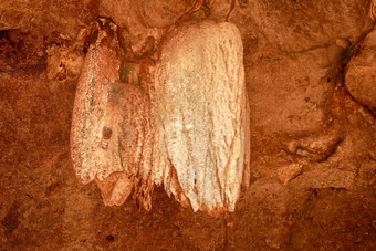 石灰石钟乳石钟乳石蝙蝠洞穴果阿bangkang普拉布龙目岛印尼