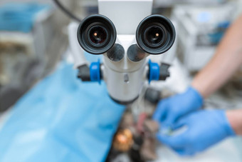 兽医眼科医生外科手术显微镜操作房间狗受伤的眼睛操作表格准备好了操作