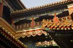 屋顶数据永和龚佛教寺庙北京中国