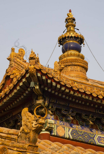 屋顶数据尖塔永和龚佛教寺庙北京中国