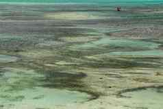 小潮池低潮海洋海角aaan龙目岛印尼roral礁岛印度海洋低潮使令人惊异的风景