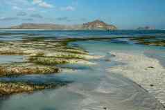 视图海角向海滩低潮美丽的风景海湾浅水海藻覆盖沙子沙丘上升海洋