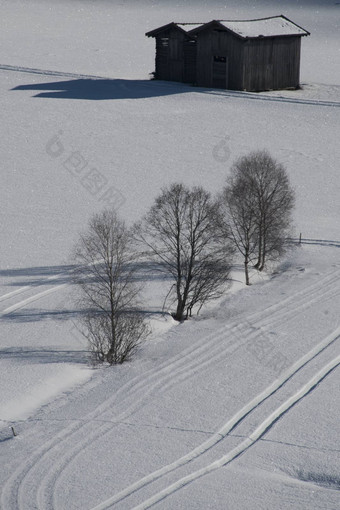 树小屋雪高原