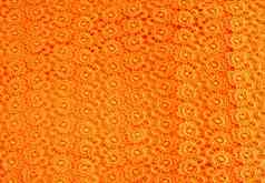 细节橙色花边模式织物