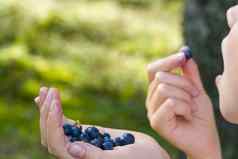 女孩持有蓝莓手森林吃年轻的女孩收集健康的零食自然森林关闭