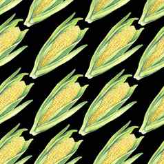 无缝的模式玉米玉米穗轴叶子黑色的背景生态蔬菜植物商店设计健康的生活方式包装纺织手画水彩插图植物现实的艺术