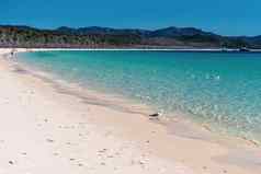 海鸥游泳清晰的蓝色的水白色硅沙子海滩圣灵群岛澳大利亚