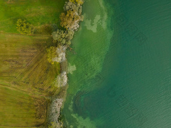 无人机拍摄鸟视图清晰的湖树建筑