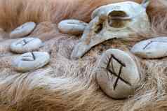 石头奥蒂拉符文鸟头骨动物皮毛看的维京人字母关闭照片挪威人的符文