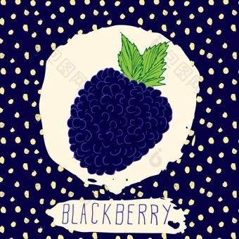 黑莓手画勾勒出水果叶蓝色的背景点模式涂鸦向量黑莓标志标签品牌身份