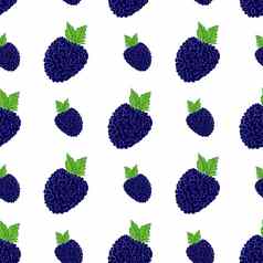 水果背景无缝的模式手画斯凯奇黑莓向量插图