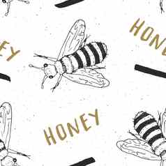 蜜蜂手画无缝的模式词蜂蜜向量插图