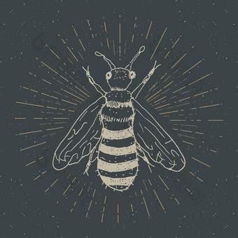古董标签手画蜜蜂难看的东西变形徽章复古的标志模板排版设计向量插图