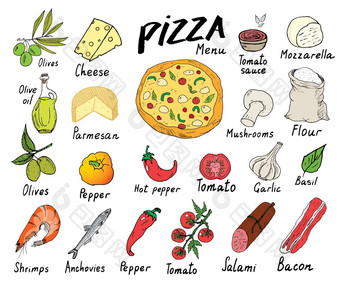 披萨菜单手画草图集披萨准备设计模板奶酪橄榄意大利蒜味腊肠蘑菇西红柿面粉成分向量插图孤立的白色背景