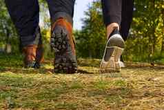 男人。徒步旅行森林秋天松森林但靴子走森林阳光明媚的一天徒步旅行概念户外生活方式