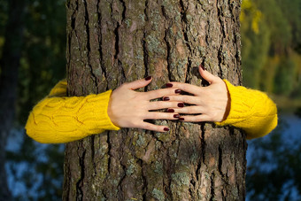 女人手拥抱松树树干秋天森林生态环境概念生态生活方式改变世界保护生活地球